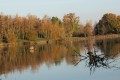 pescalis au lev du soleil-1-35